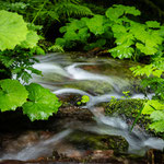 Foto: Peter Liebthal