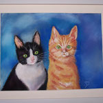 Mes chatons 30x40cms   