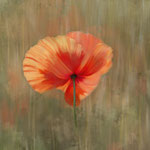 Titel: Klaproos III Oplage: 1/10 Formaat: 1000x1000 mm Prijs: € 800,-