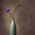 Titel: Iris Oplage 1/10 Formaat: 1000x700 mm Prijs: € 800,-