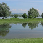 Spiegelung am Rhein