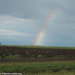 Arc en ciel après l'orage