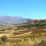 La vallée d'Alamut