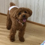 モコちゃん