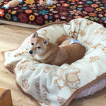 サチちゃん