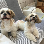 ミント君&ピノちゃん