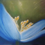 Blaue Blume 2