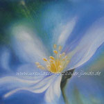 Blaue Blume 4