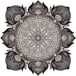 5
