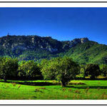 Sant Salvador .- Felanitx -.