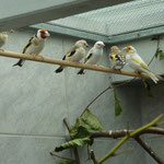 Familienverband