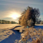 Die Allerwiesen im Winter.