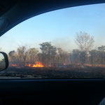 bush fires everywhere