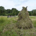 Das Ergebnis: Fläche beräumt, Reuter voll.       Foto: agr