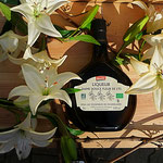 Bas Armagnac mit Lilie für besondere Anlässe