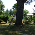 Armagnac von unserer Domaine de Saoubis