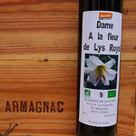 Armagnac von unserer Domaine de Saoubis