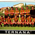 1972-73. Figurine Panini. Squadra