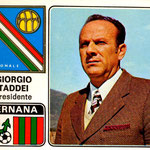 1972-73. Figurine Panini. Taddei