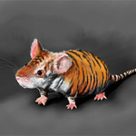 Tigermaus