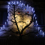  2. Dezember
