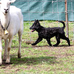 Regerastace Europa, testing her instincts on stock in USA.