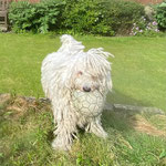 Regerastace Anagram, loves to play football and visit the pubs!