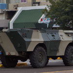 Dragoon 300 AFV