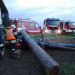 Die Holzstämme mussten mit Seilwinden bewegt werden.