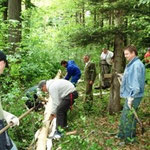 Entrindung und Vorbereitung im Wald.