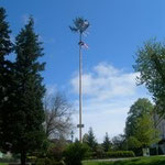 Der Maibaum 2006 für unseren Verwalter Erich Reisinger.