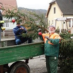 Der Baum wird weihnachtlich geschmückt.