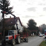 Der Weihnachtsbaum wurde von Frau Unterhuber zur Verfügung gestellt.