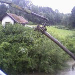 Mithilfe eines Kranes konnte der Baum entfernt werden.