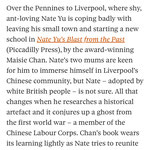 The Observer Review 14th June 2025