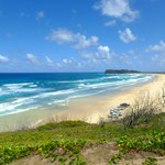 ein Meer voller Haie