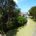 Eli Creek