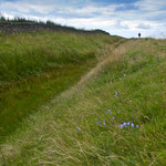 The defensive Ditch and August Harebells.
