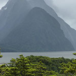 Milford sounds, île du sud