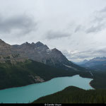 Lac Peyto, Alberta