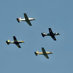 (gelb-schwarz): North American P-51 Mustang - Die drei anderen Flugzeuge: North American T-28 Trojan