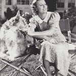 on the set of 'Theodora Goes Wild'