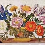 Kolorierter Kupferstich aus Das Neue Blumenbuch