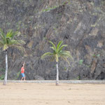Palmen und Sand auf Teneriffa