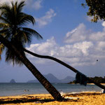 Segeln ab Martinique - Bucht vor Sainte-Anne im Süden von Martinique