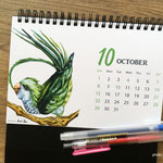 十月 品種：綠和尚鸚鵡