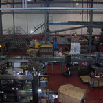 Besuch der Agonsturafabrik