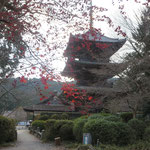Toin Sanjunoto donated by Tokugawa Ieyasu