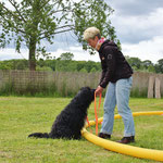 Longieren in der Hundetrainerausbildung