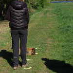 Eigentrail in der Hundetrainerausbildung